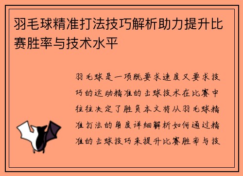 羽毛球精准打法技巧解析助力提升比赛胜率与技术水平